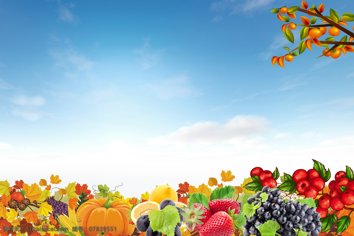 金秋 水果 丰收 季节 背景 秋季 秋天 南瓜 叶子 桔子 葡萄 草莓 橙子 食物