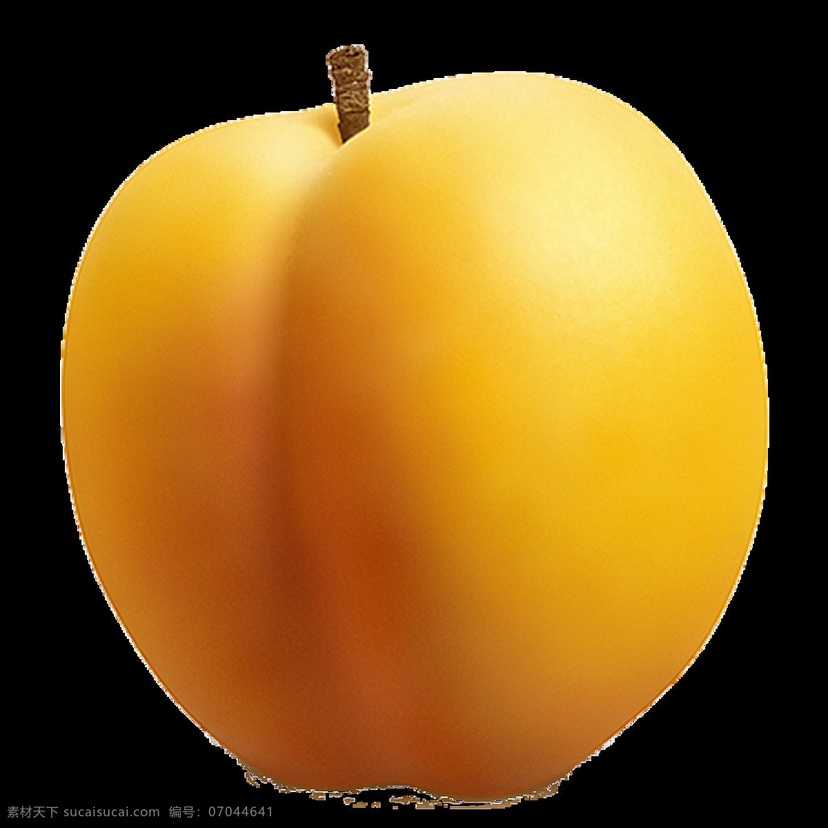 杏子 水果 食品 健康 美食 有机 浆果 新鲜 美味 美味的 素食者 实用性 强 生物世界