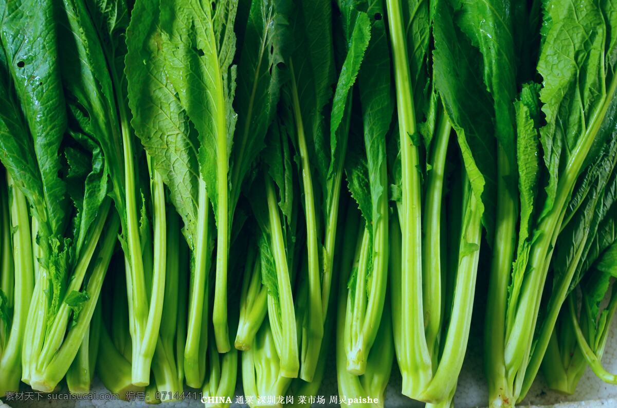 深圳 生物世界 食品 市场 蔬菜 销售 通菜 绿色食物 菜梗 菜叶 龙岗 嶂背 菜市场 蔬菜总汇 生物景观 风景 生活 旅游餐饮