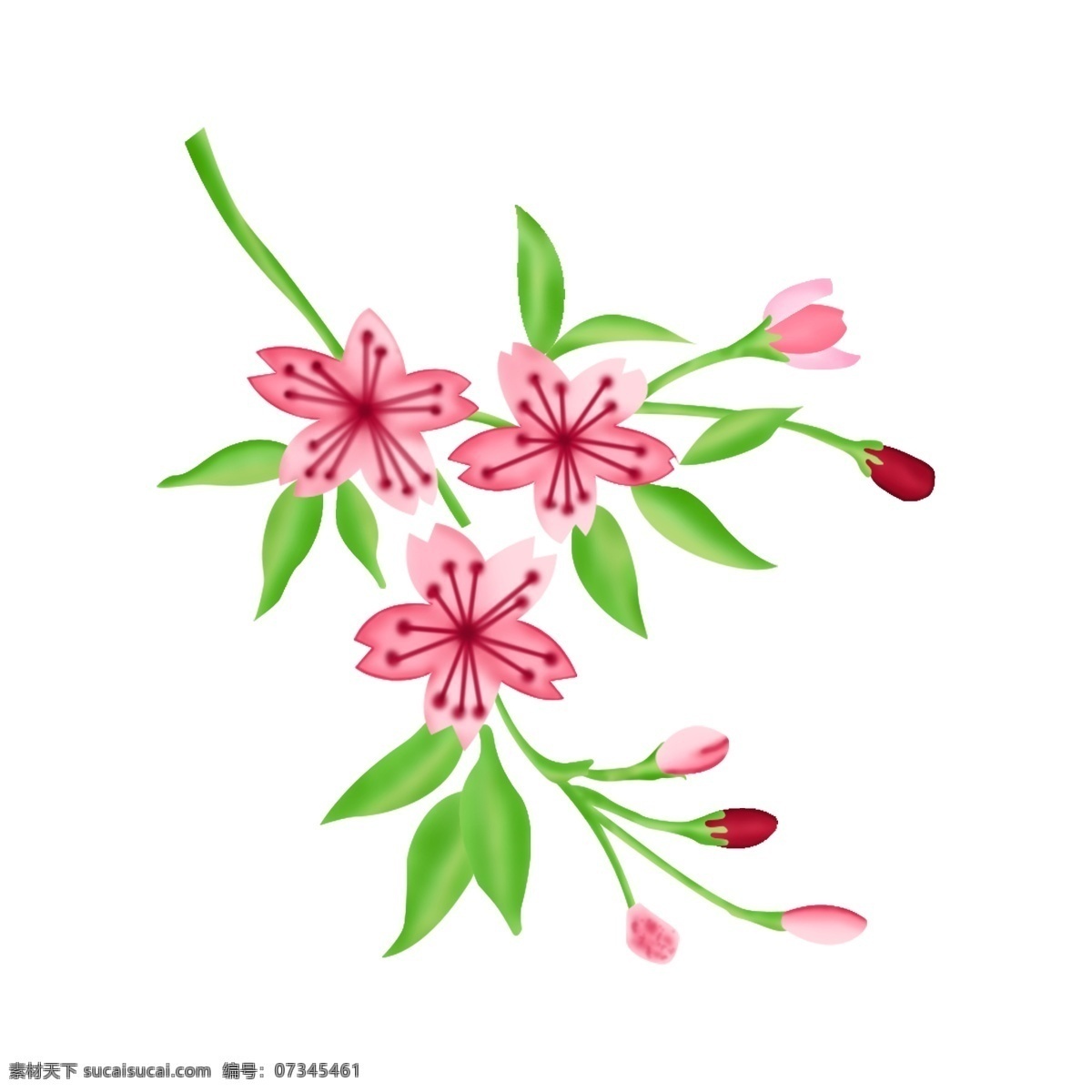 简约 创意 粉色 手绘 花 桃花 商用 元素 手绘花 植物 插画 psd分层