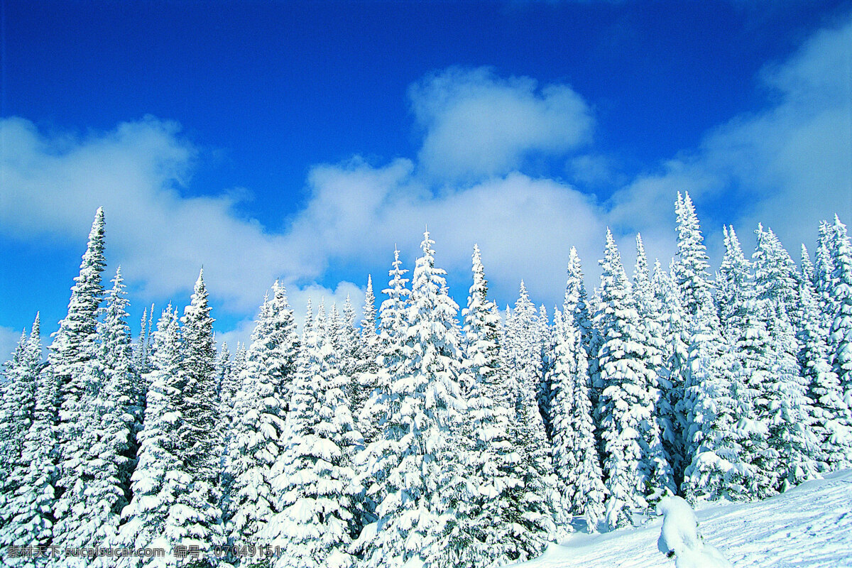 冬天 雪景 背景 冬天雪景 风光 风景 季节 摄影图库 自然 自然风景 自然景观 生活 旅游餐饮