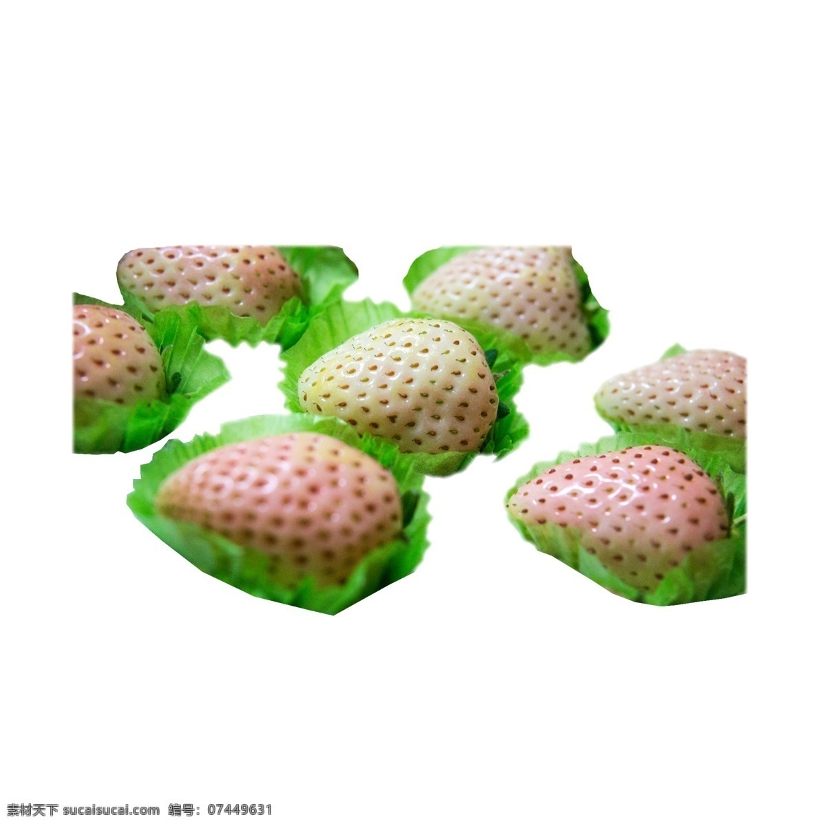 一些 美味 白 草莓 水果 浆果 新鲜草莓 有机草莓 白草莓 牛奶草莓 美味的 白雪公主 日本草莓
