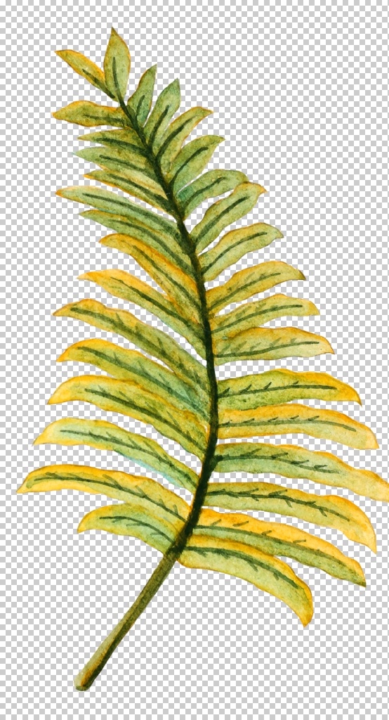 清新 水彩 植物 树叶 插画 小清新 夏日 热带 绘画 涂鸦 绿叶 海滩 龟背竹 装饰画 花朵 花卉 创意 装饰图案 鸟雀 火烈鸟 鸟 绿植