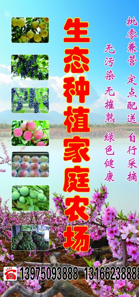 生态 种植 家庭 农场 家庭农场 广告 果实 宣传栏 自然景观 自然风光