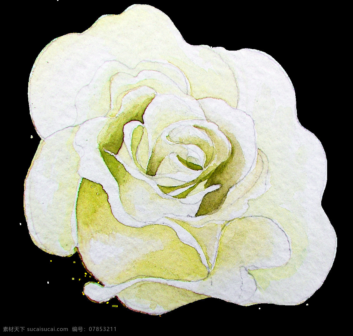 白 绿 花莲 卡通 透明 莲花 植物 透明素材 免扣素材 装饰图案