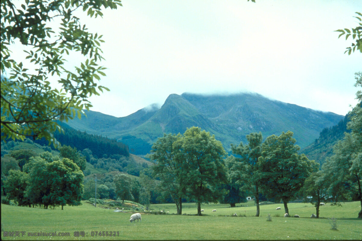 自然景观 图 背景 壁纸 打包 风景 高清 旅游 美图 免费 摄影图 家居装饰素材 壁纸墙画壁纸