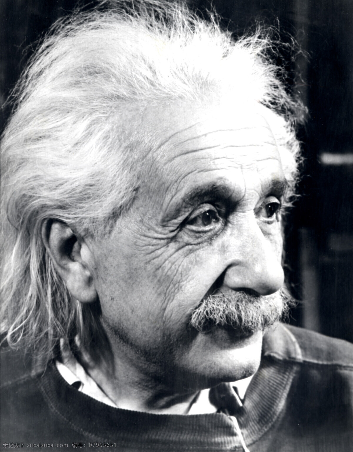 阿尔伯特 爱因斯坦 albert einstein 科学家 物理学家 思想家 哲学家 人 人物 名人 老人 男人 男性 长发 白发 胡子 头像 黑白 黑白相片 黑白照片 黑白图片 摄影图库 人物图库 男性男人