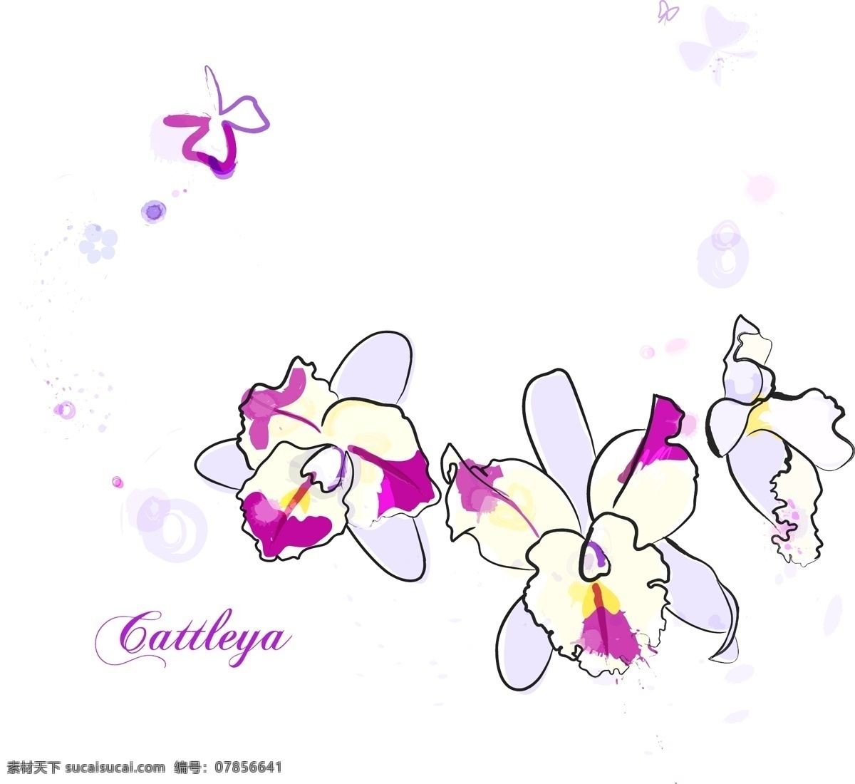 手绘 矢量 洋 兰花 线条 花朵 手绘洋兰花 矢量洋兰花 洋兰花线条花 热带兰 手绘花朵 线条花朵 时尚花纹花朵 花纹背景 花朵图案 花边 边框 欧式花纹 花纹边框 装饰花纹 建筑花纹 手绘花纹 花纹标签 传统花纹 时尚花纹 韩式花纹 边框花纹 中式花纹 富贵花纹 布纹花纹 时尚背景 背景元素 手绘画 图画素材 梦幻素材 花式背景 矢量花纹 底纹边框 花边花纹