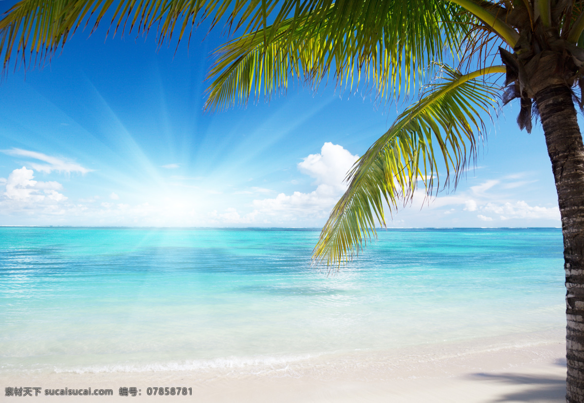 美丽 大海 风景 热带海滩 沙滩 美丽风景 沙滩美景 海面 海景 椰树 风景摄影 大海图片 风景图片