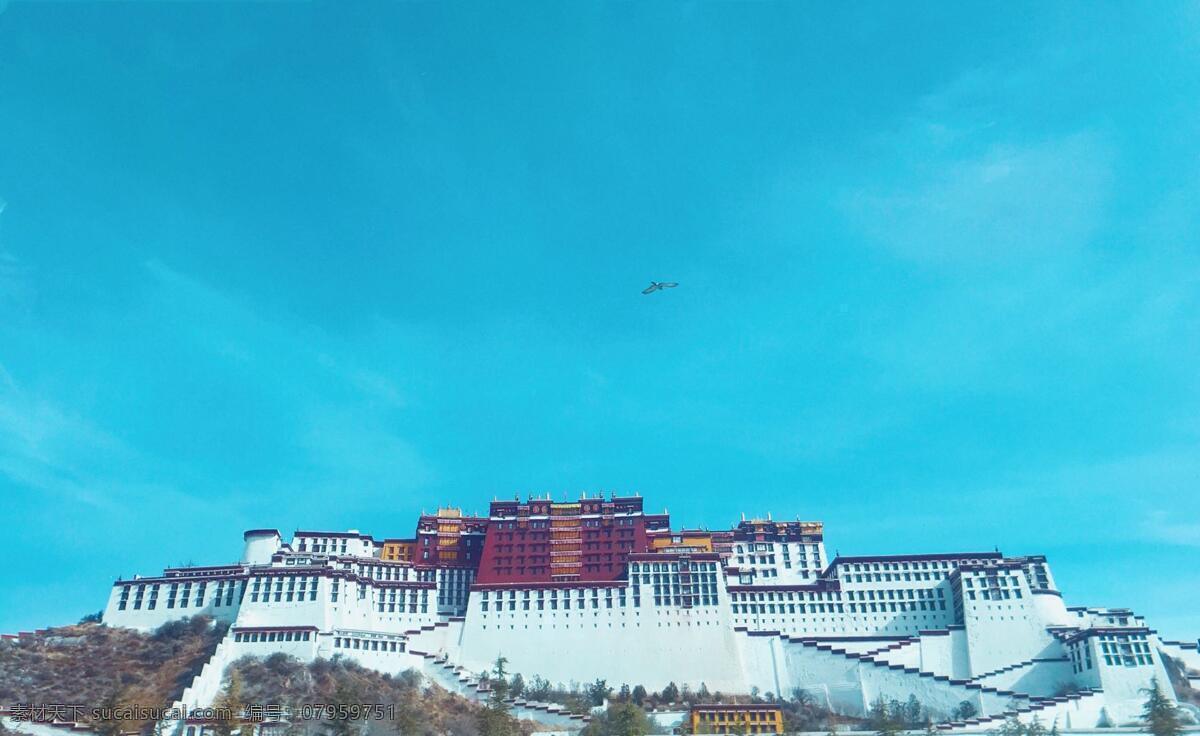 鹰击长空 西藏 飞鹰 天空 布达拉宫 静谧 旅游摄影 人文景观