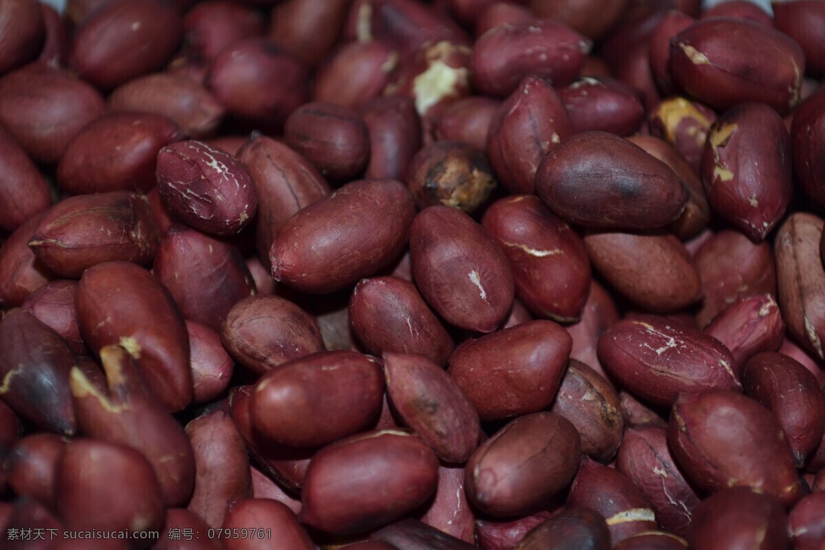 落花生 长生果 泥豆 番豆 地豆 坚果 植物 食物 食品 干果 果实 果仁 花生背景 花生特写 花生壁纸 花生摆拍 生物世界 其他生物