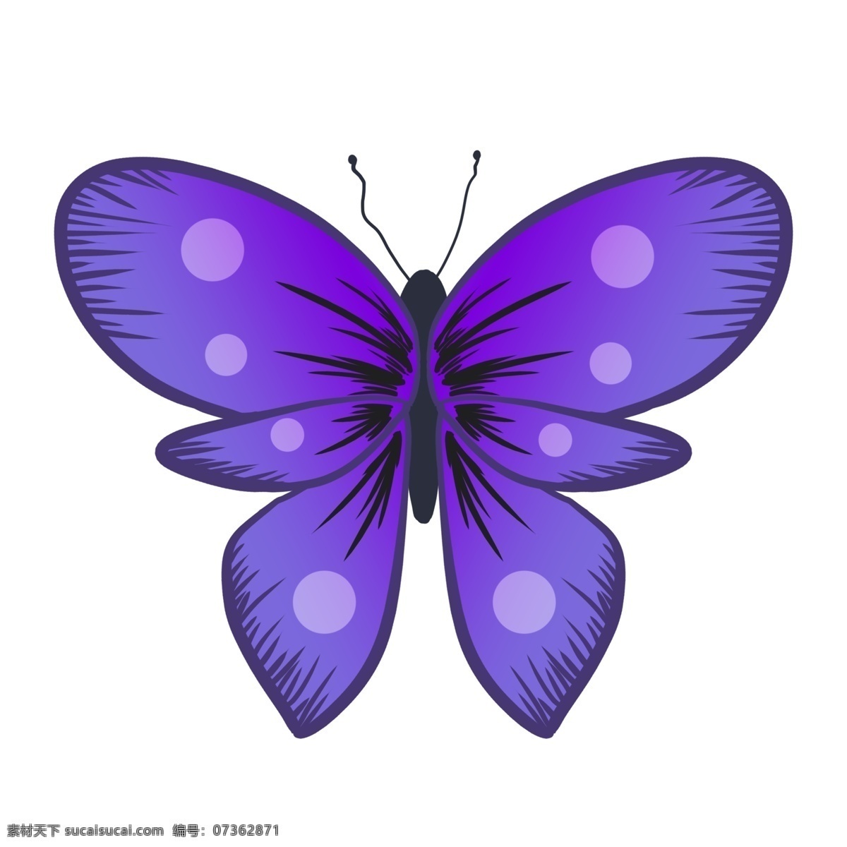 漂亮蝴蝶 蝴蝶 可爱 昆虫 卡通 简洁 漂亮