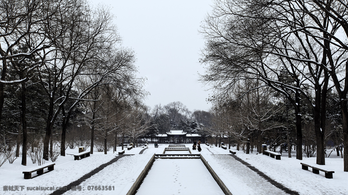 落 满 白雪 大地 冬天 树木 户外 天空 建筑景观 自然景观 自然风景