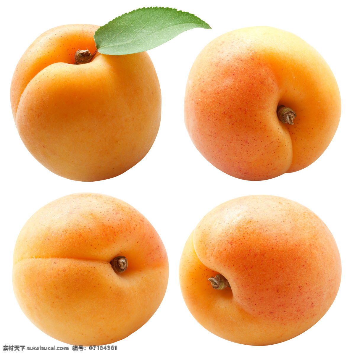 黄杏果 水果 杏 杏子 杏子特写 瓜果蔬菜集锦 生物世界 水果蔬菜 餐饮美食 白色