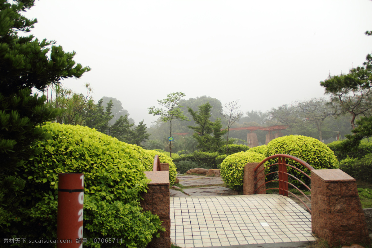 风景 公园 公园风景 建筑园林 石桥 树木 园林建筑 千 灯 湖 一角 千灯湖公园 自然风景 公园一角 家居装饰素材 灯饰素材