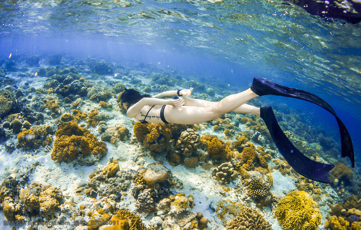 水下摄影 珊瑚 美娜多 旅游 海外 生物世界 海洋生物