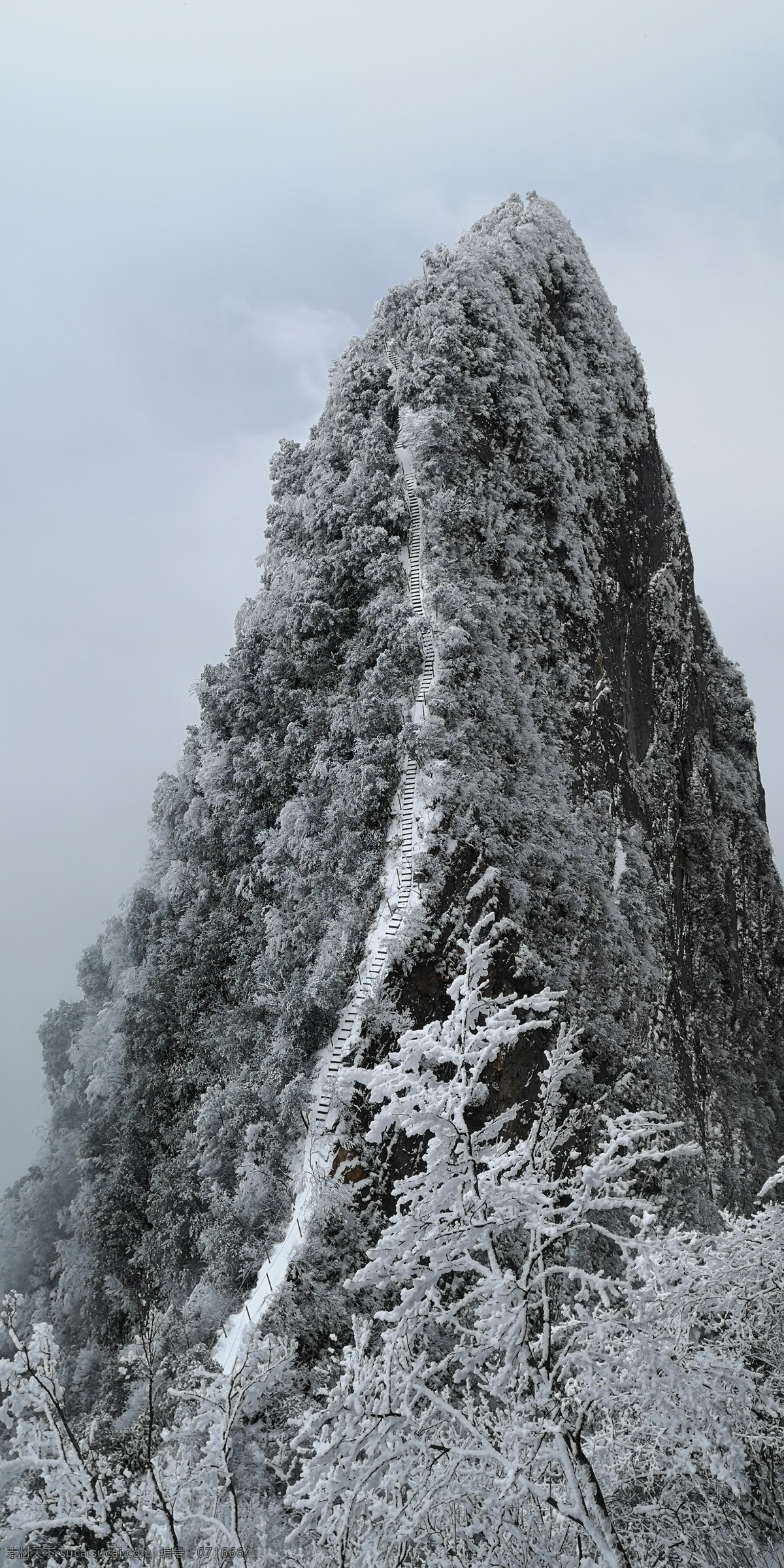 雪山 万源八台山 雪景 雪乡 万源雪乡 万源风景区 万源旅游 雾凇 滑雪 大雪 达州风景 云海 雪海 旅游摄影 自然风景