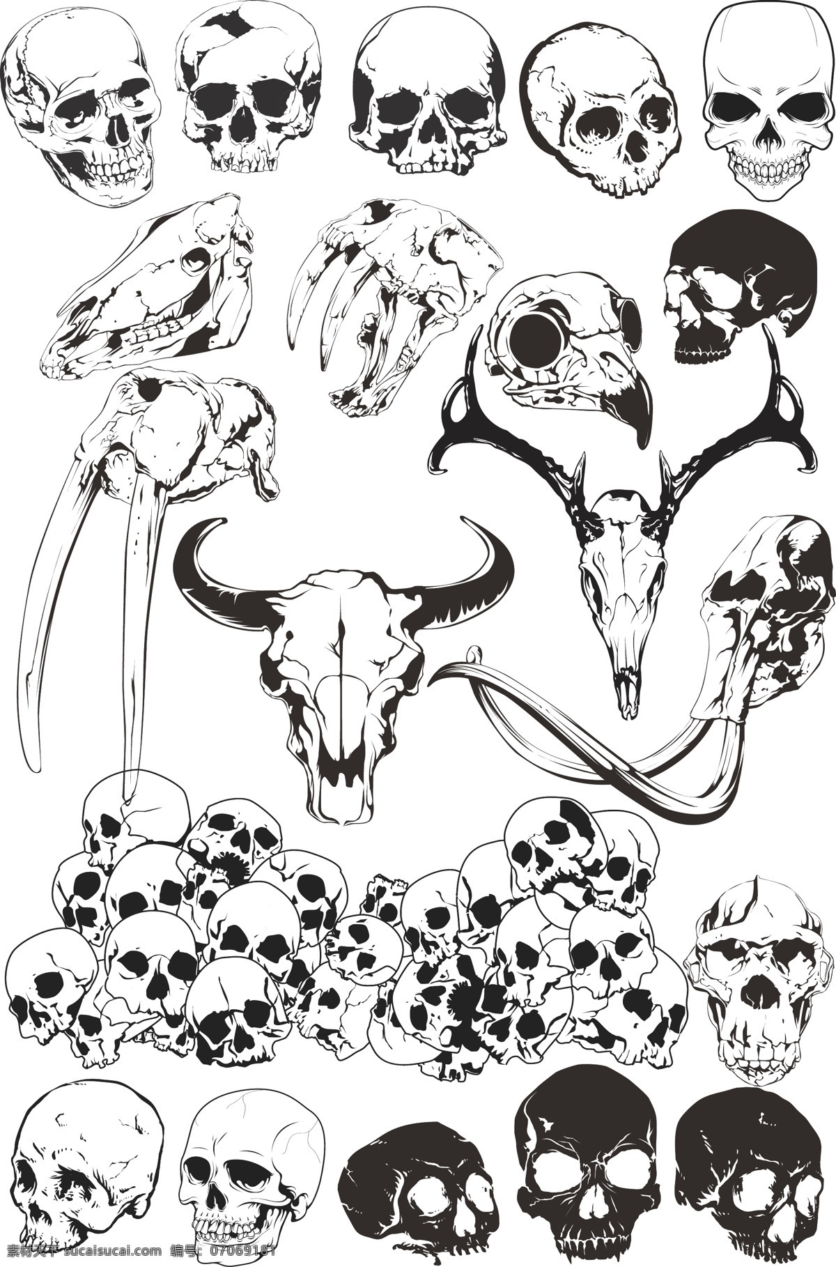 矢量 花纹 骨骼 骷髅 牛头 人头 矢量图 花纹花边