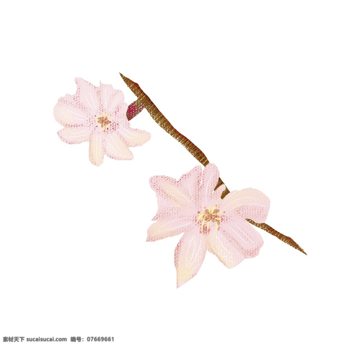 粉色 樱花 树枝 小树枝 两朵花 可爱 俏皮 美丽 粉嫩 春天 漂亮 迷人 东京 恋人 心动 美好 爱情 装饰