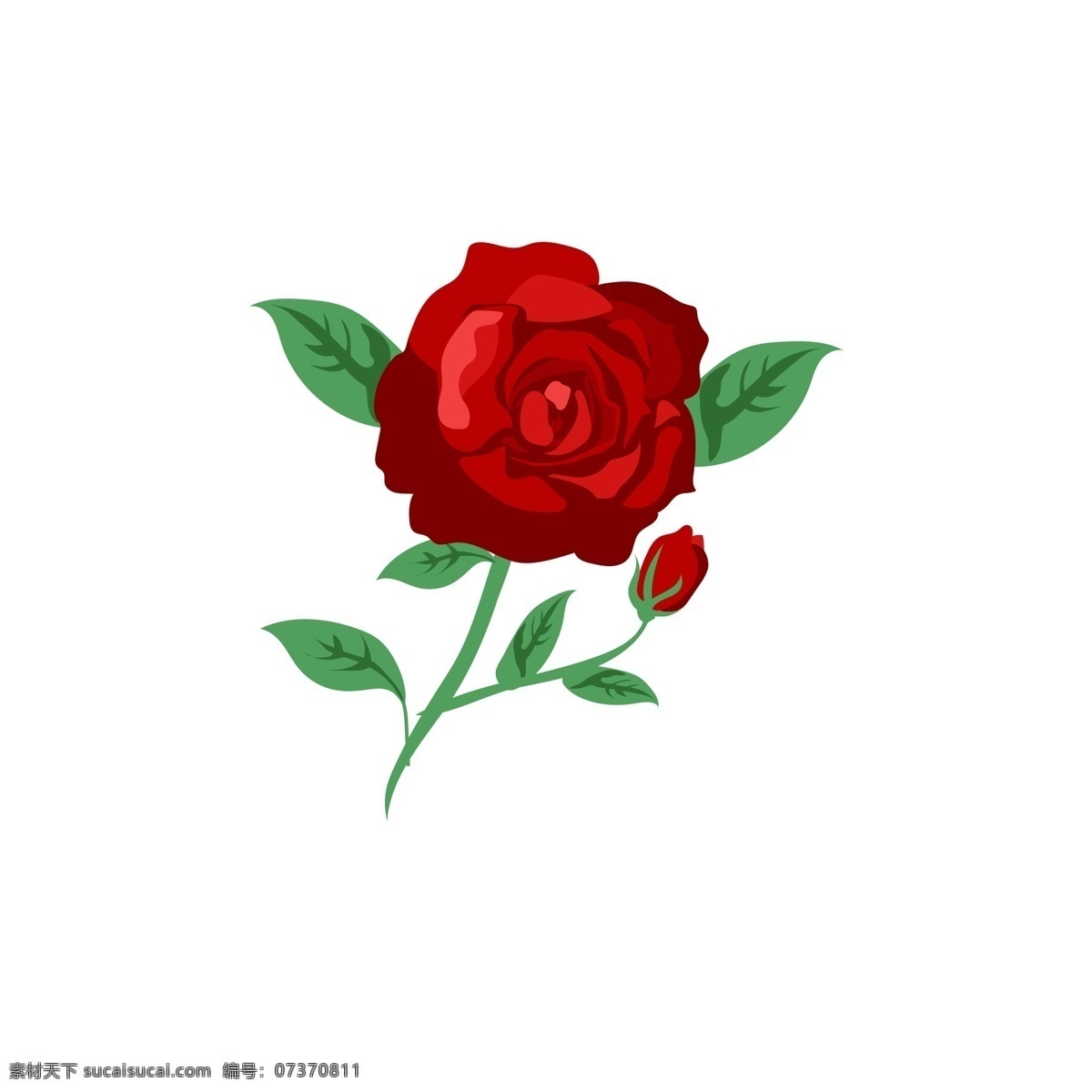 植物 花朵 鲜花 树枝 花香 美丽 景色 红色 玫瑰 花卉 花骨朵 叶子