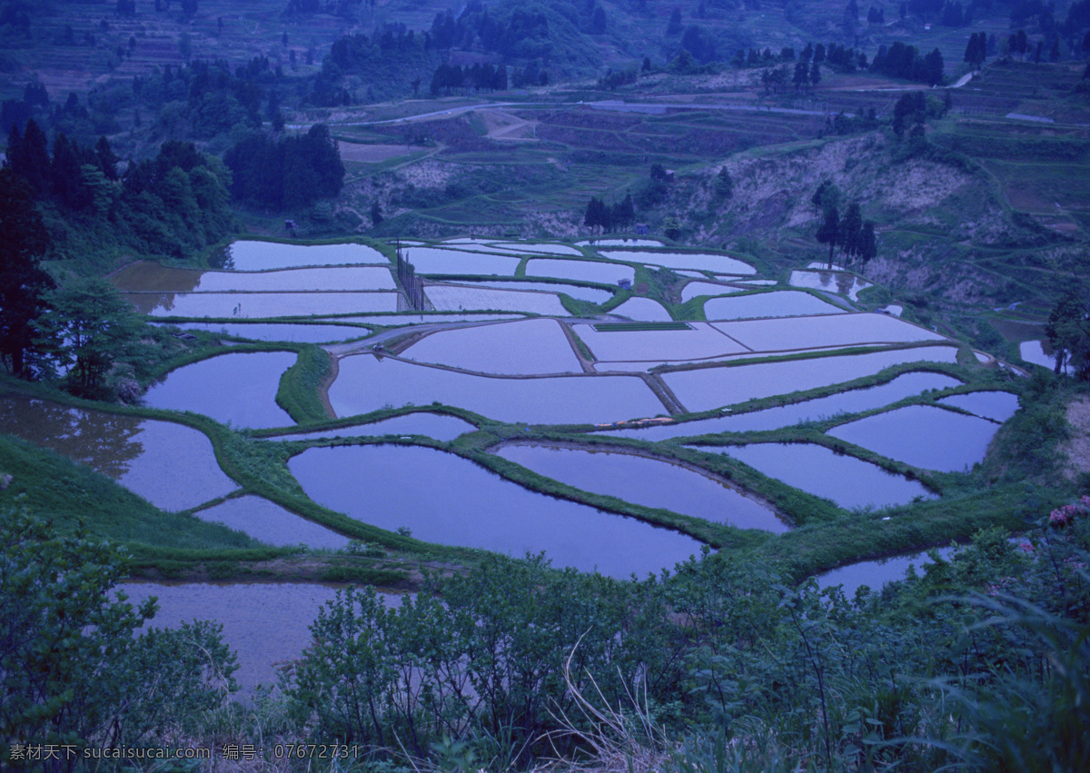 梯田 剪影 山水风景 摄影图库 树木 田 自然景观 梯田剪影 丘陵 psd源文件