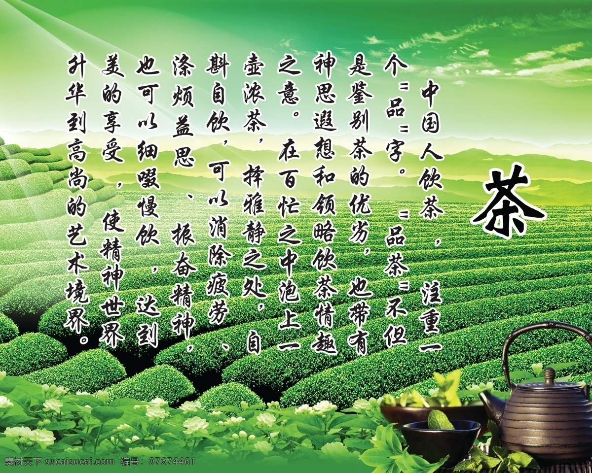 茶文化 展板 绿色背景 茶 文化 茶壶 茶叶 绿色