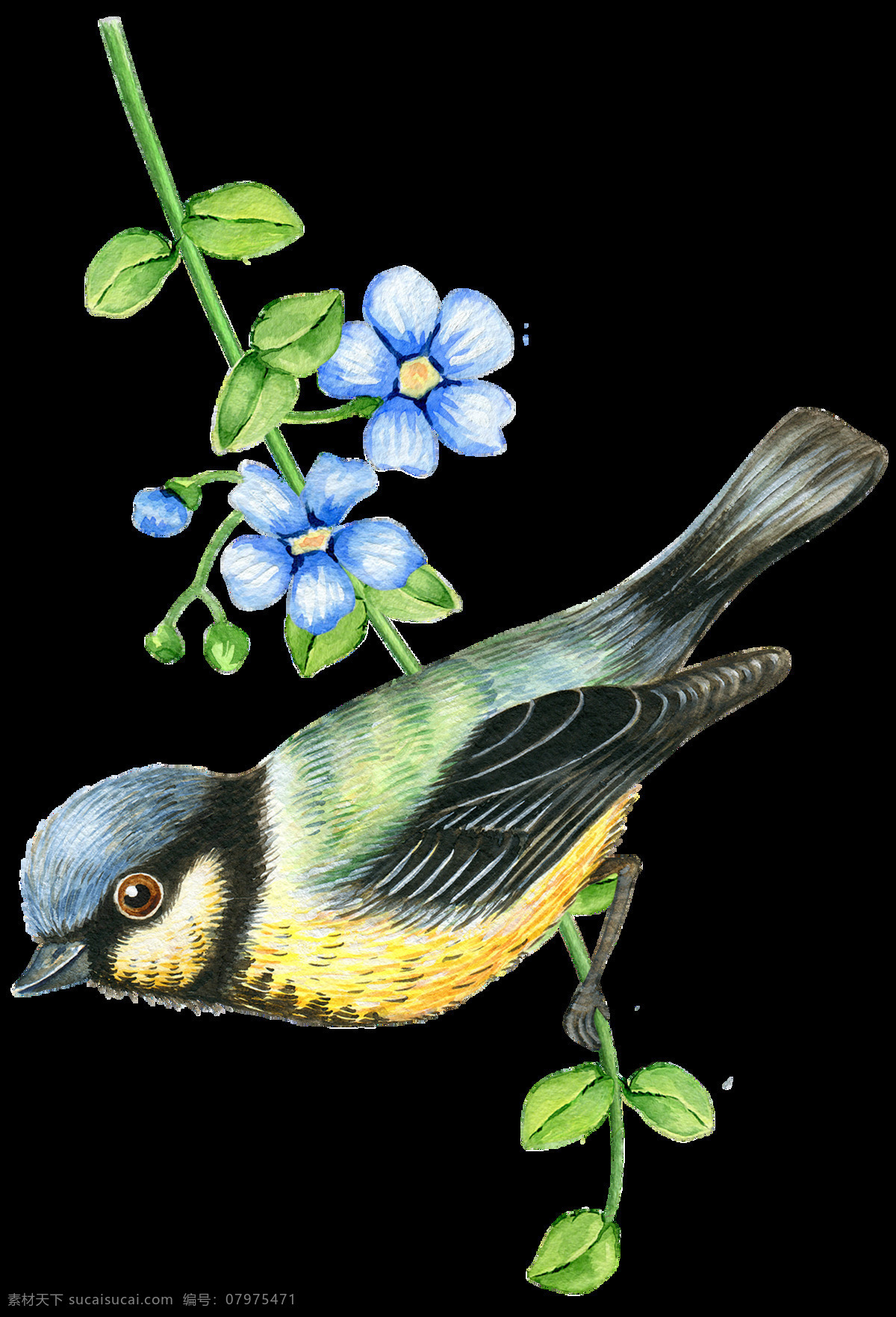 清新 小鸟 花卉 卡通 透明 抠图专用 装饰 设计素材