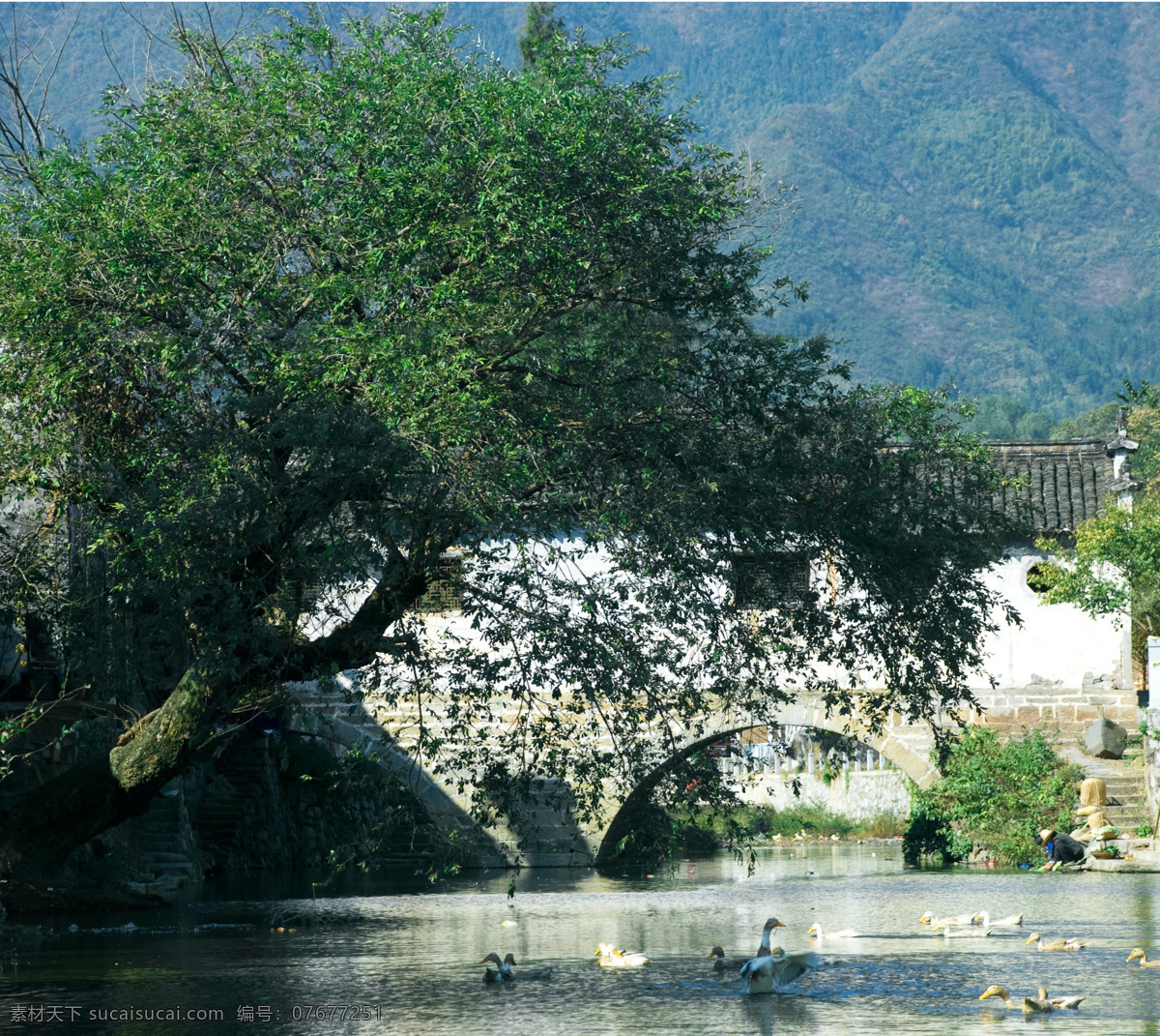 小桥流水 小桥 流水 树 鸭子 黑色