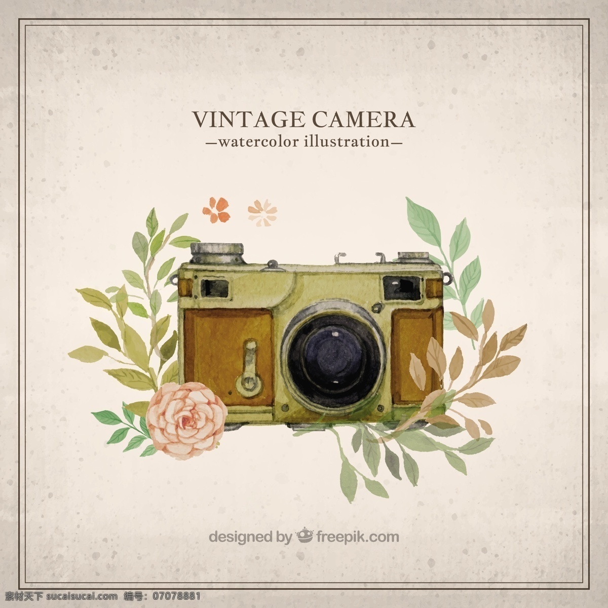 手绘 复古 相机 插图 水彩 花卉 手 技术 照片 树叶 摄影师 旧 镜头 工作室 配件 图像 白色