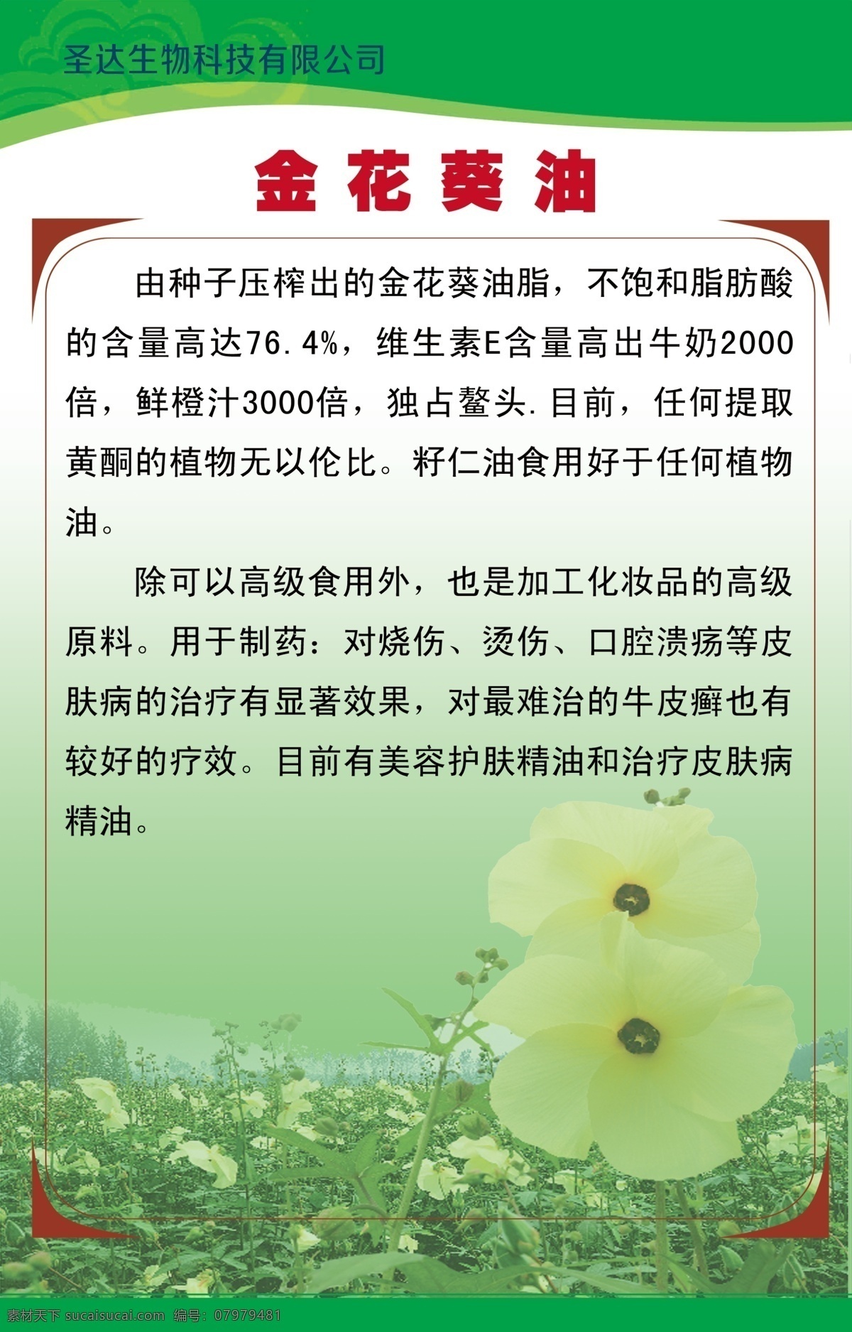 东 圣 达 生物科技 展板模板 写真模板 金花葵 企业制度模板 分层 源文件