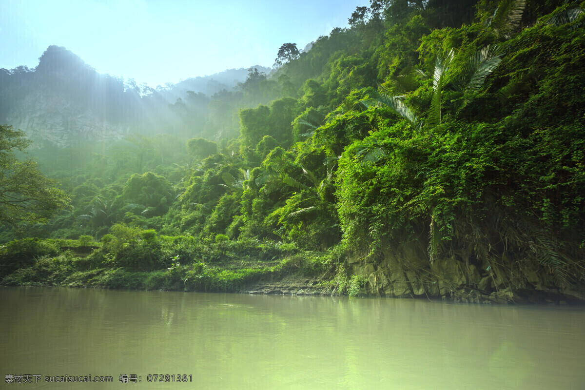 森林 小溪 美景 植物 风景 山水风景 风景图片