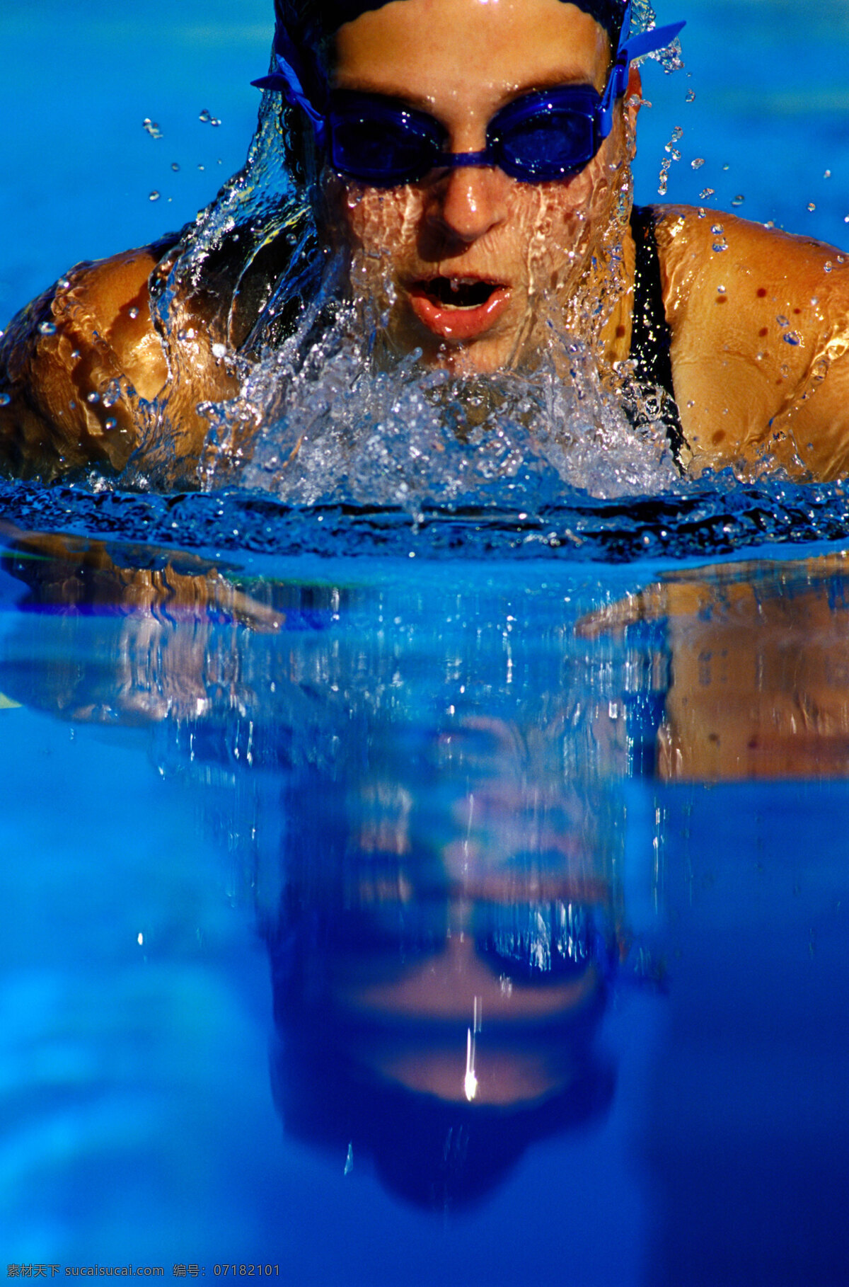 游泳 文化艺术 体育运动 摄影图库 300