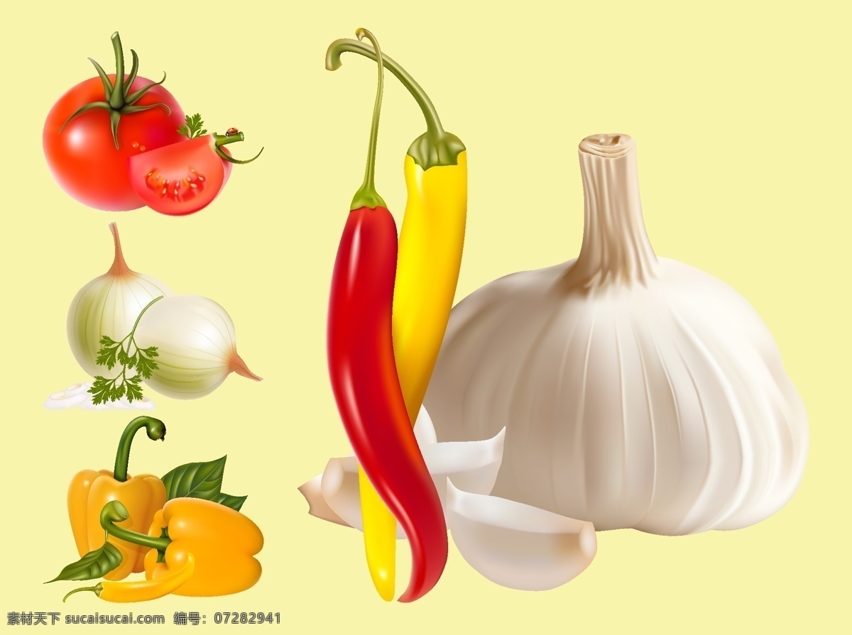 蔬菜矢量素材 番茄 西红柿 洋葱 辣椒 蒜 黄色辣椒 矢量素材 蔬菜