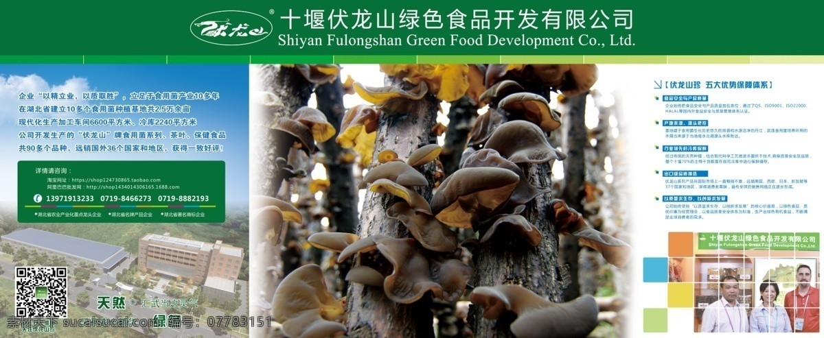 特产展板 黑木耳展示牌 天然 绿色 白色