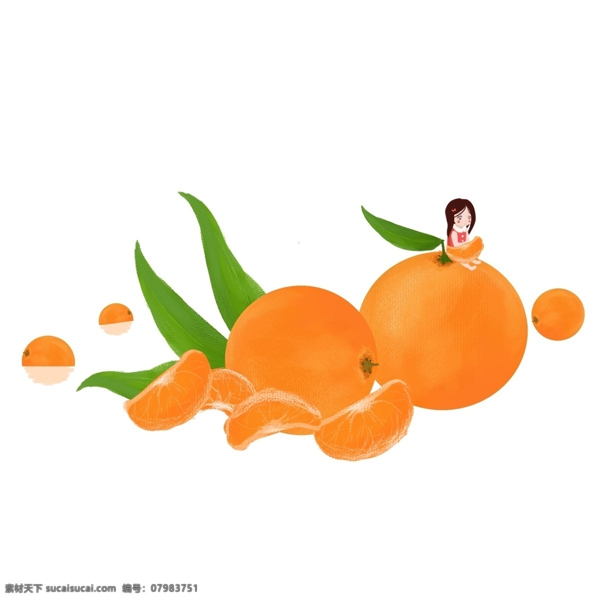 手绘 橘子 设计素材 插画 水果 美食