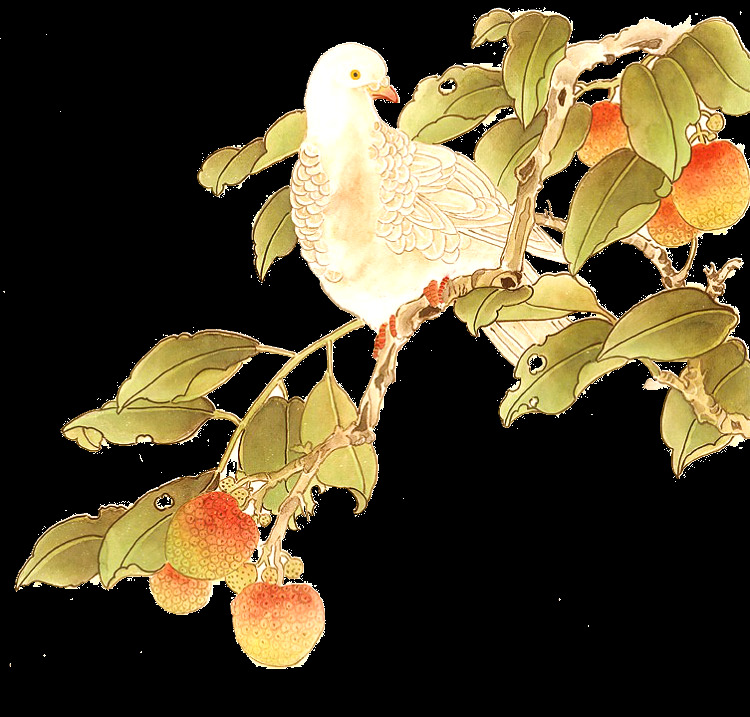 古风 国风 工笔画花 免抠素材 花 装饰画 花草 水墨工笔 国画素材 水墨画花 文化艺术 绘画书法