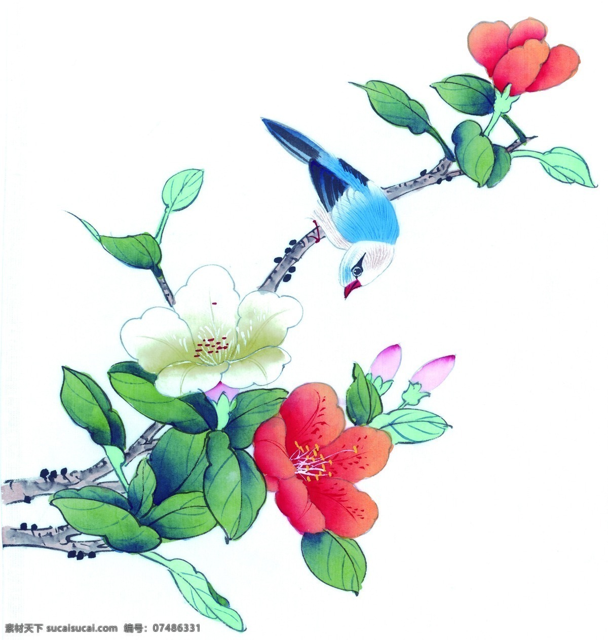 喜鹊 花卉 绘画 花鸟画 国画植物花卉 水墨画 名画 国画 中国画 绘画艺术 装饰画 挂画 书画文字 文化艺术