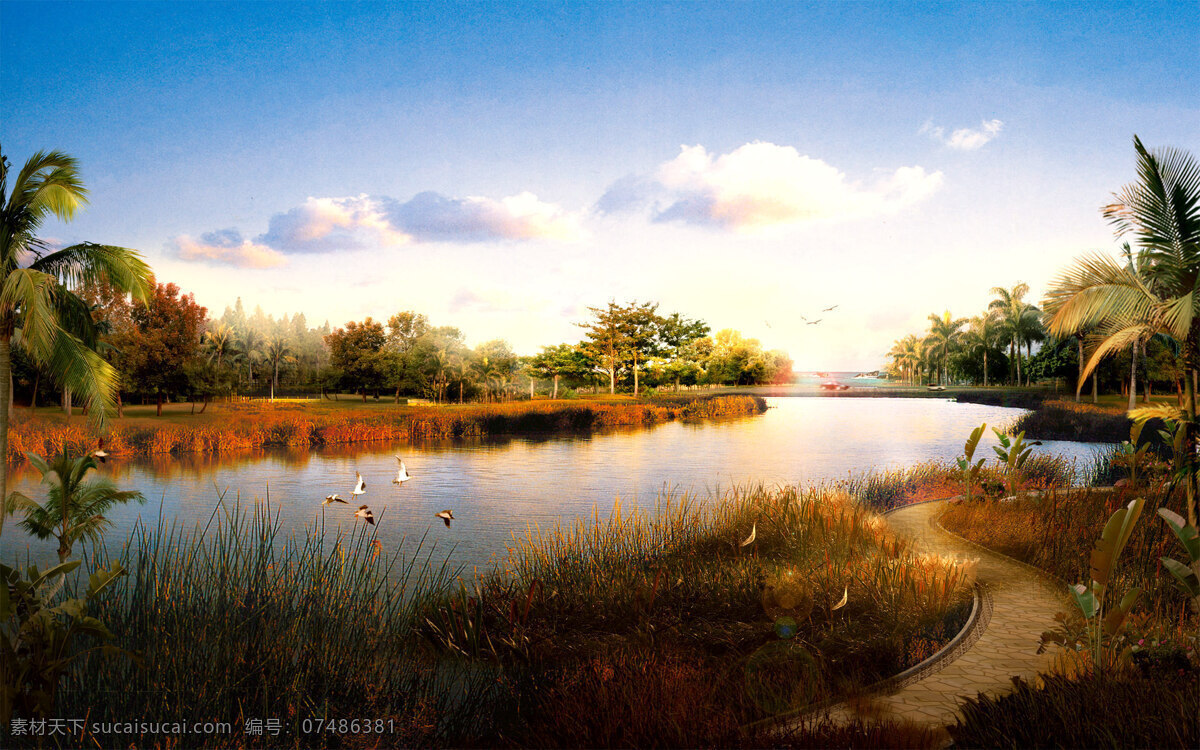 湿地 公园 景观设计 园林景观 湿地公园 湖泊 环艺设计 园林建筑 环境设计 环境家居