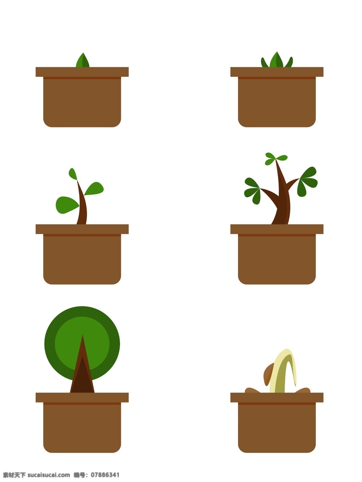 清新 可爱 植物 生长 过程 图 树苗 成长 矢量 简约