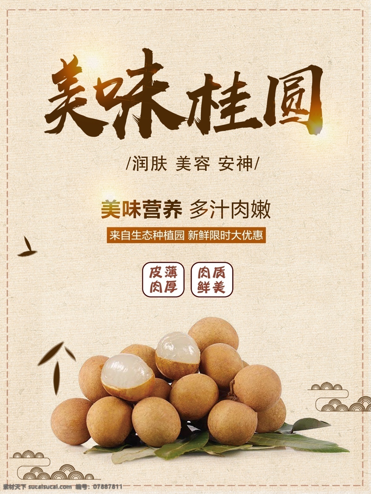 美味 桂圆 特产 主题 宣传海报 简洁 中国风 小清新 美食海报 新颖 桂圆海报
