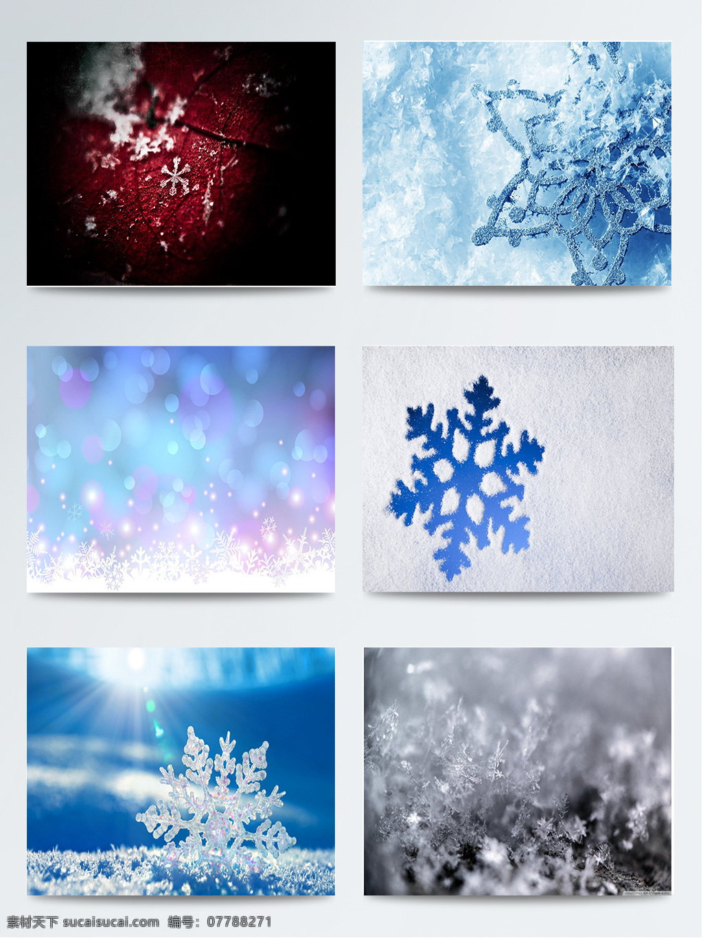组 黑 蓝白 雪花 背景 图 白色 冬季 蓝色 浅白色 浅蓝色 深蓝色 水蓝色