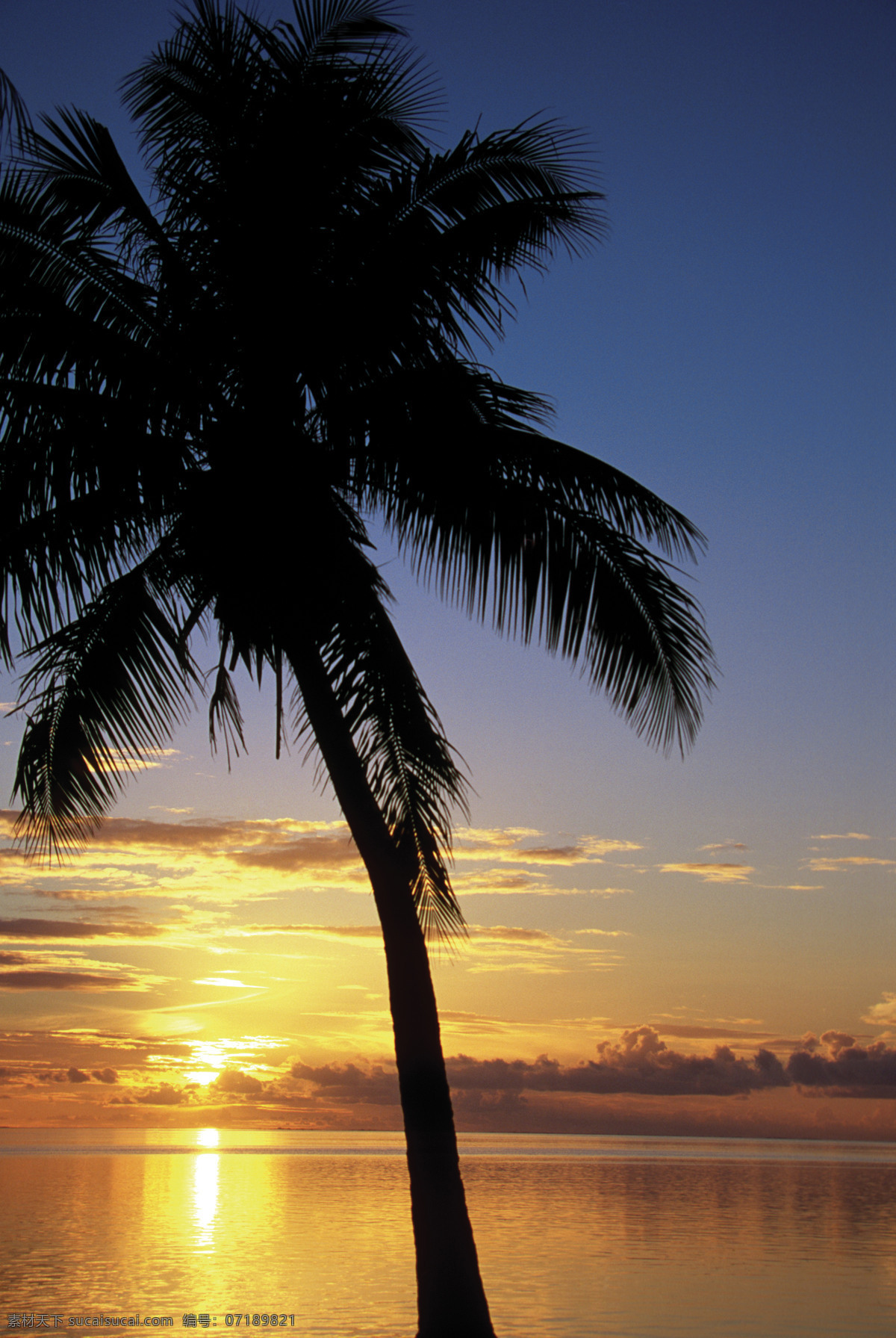 黄昏 时 海面 风光 美丽海滩 海边风景 太平洋 海岸风光 夕阳 沙滩 海滩 大海 海洋 海平面 椰子 椰树 旅游景点 海景 景色 美景 风景 摄影图 高清图片 大海图片 风景图片
