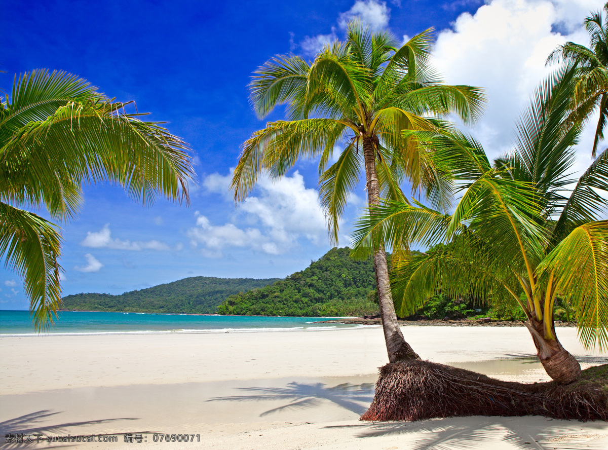 海岸 自然风景 摄影图片 海面 海水 沙滩 椰树 椰子 蓝天白云 美丽 自然风光 美景 仙境 摄影图 高清图片 山水风景 风景图片