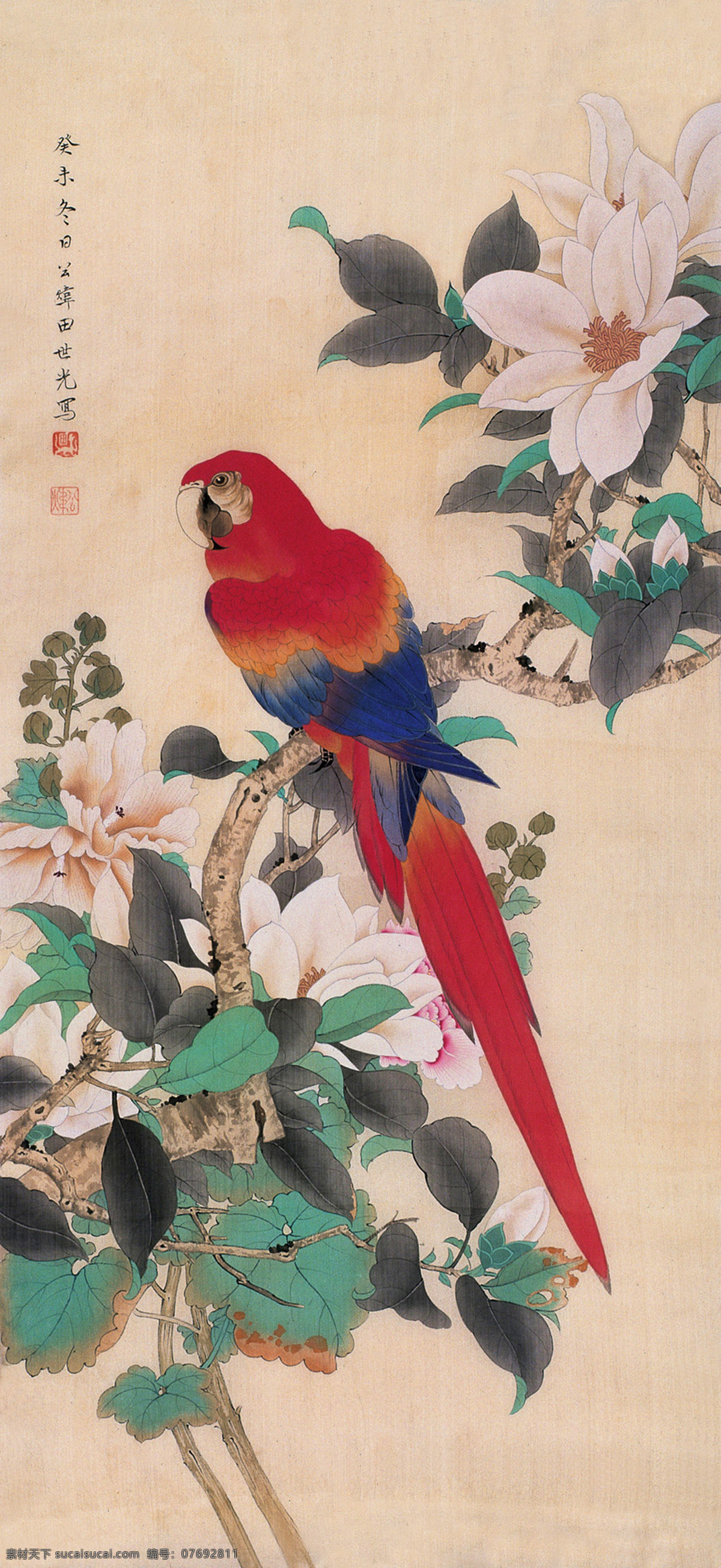 国画 田世光 鹦鹉 小鸟 秀石 传统绘画 绘画书法 国画田世光 文化艺术