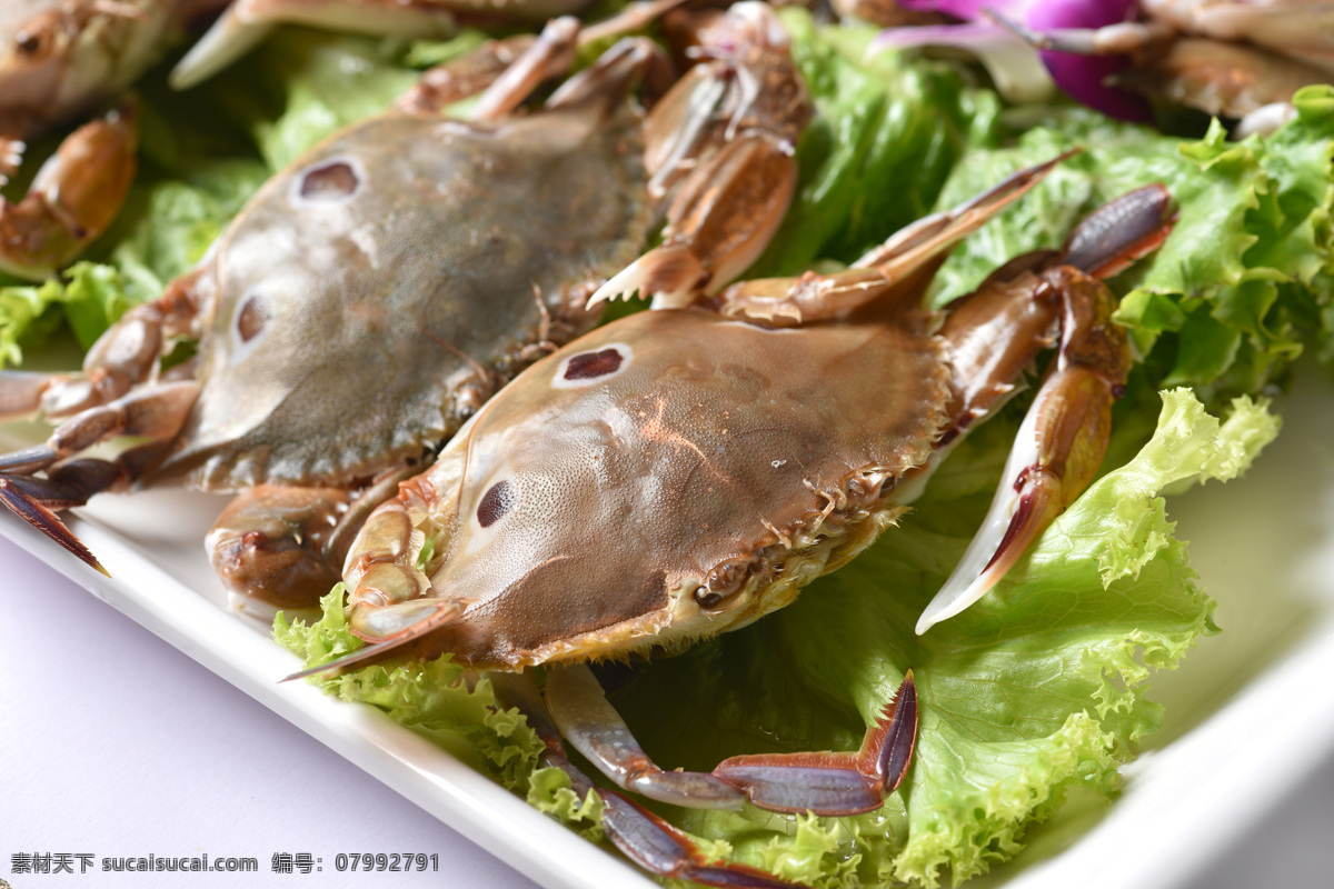 八宝蟹 大闸蟹 螃蟹 青蟹 梭子蟹 蟹 蟹黄 蟹膏 蟹肉 蟹粉 香辣蟹 清蒸蟹 水煮蟹 中餐 amp 特色 小吃