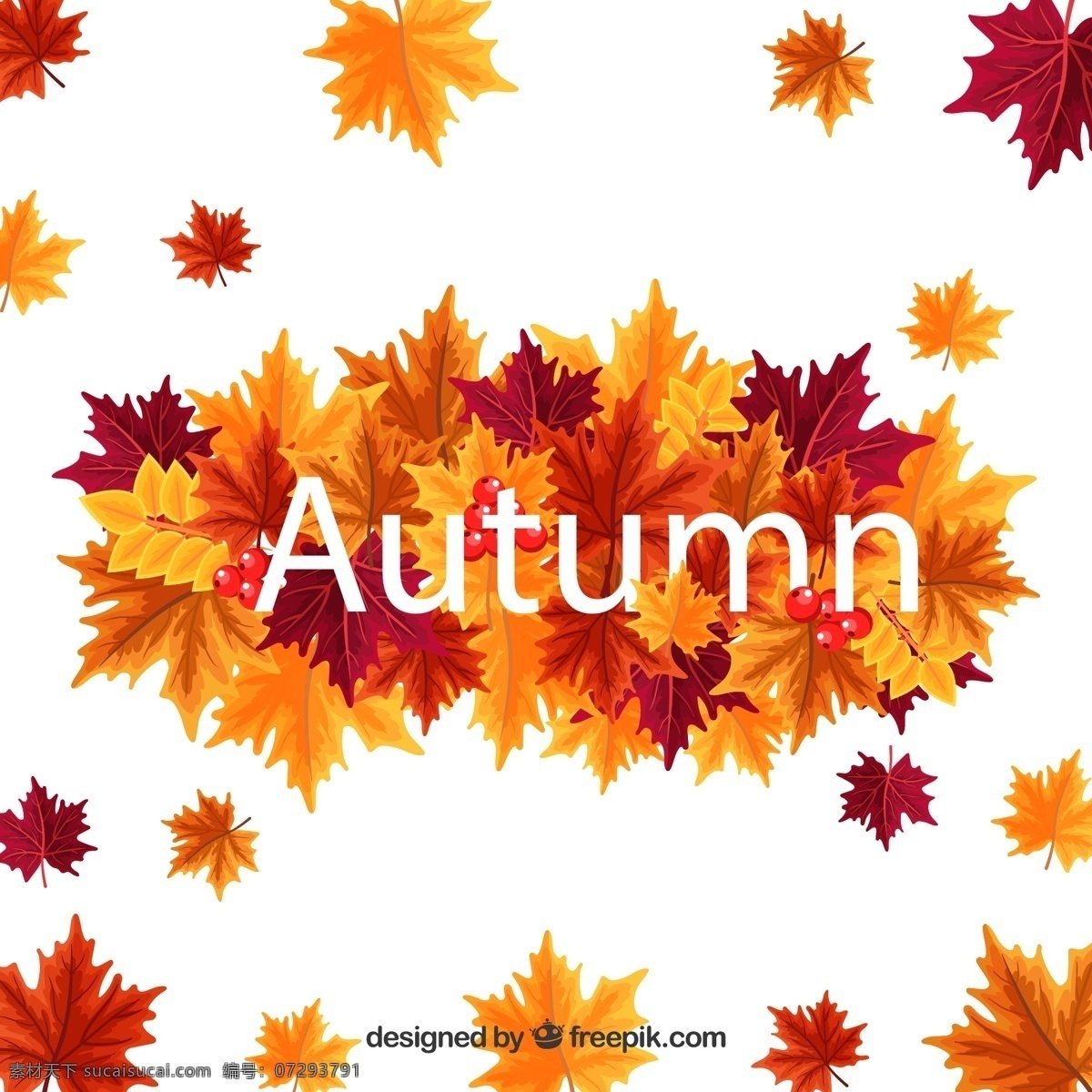 秋季 树叶 艺术 字 枫叶 彩色 艺术字 落叶 矢量 高清图片