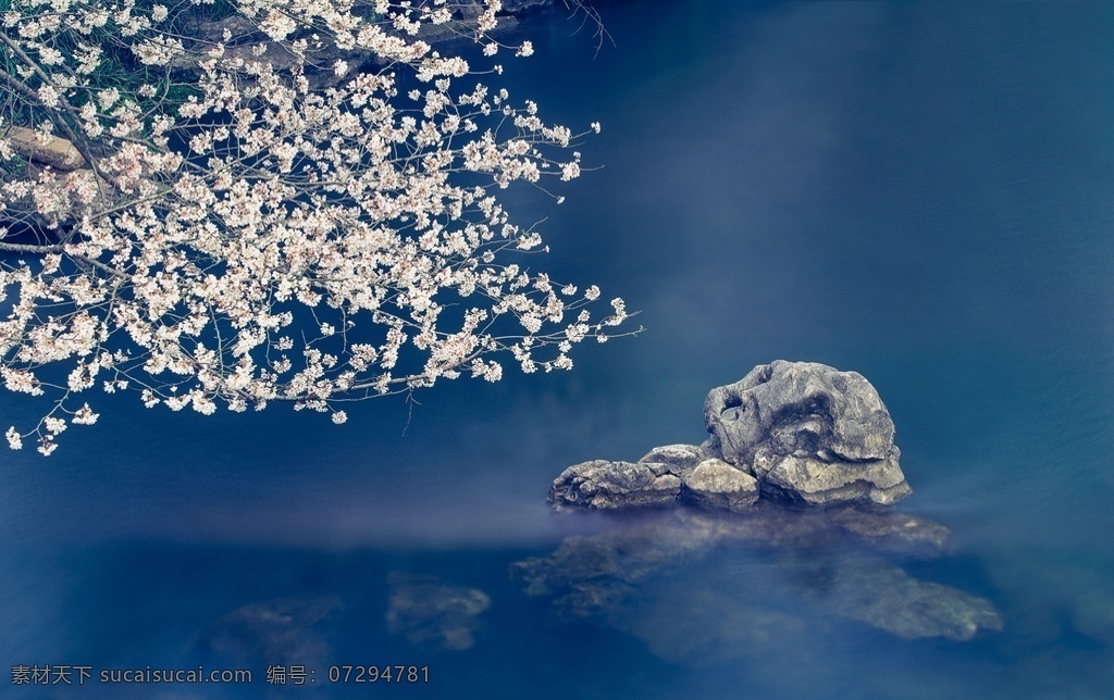 樱花 山石 旅游 旅行 海报 素材图片