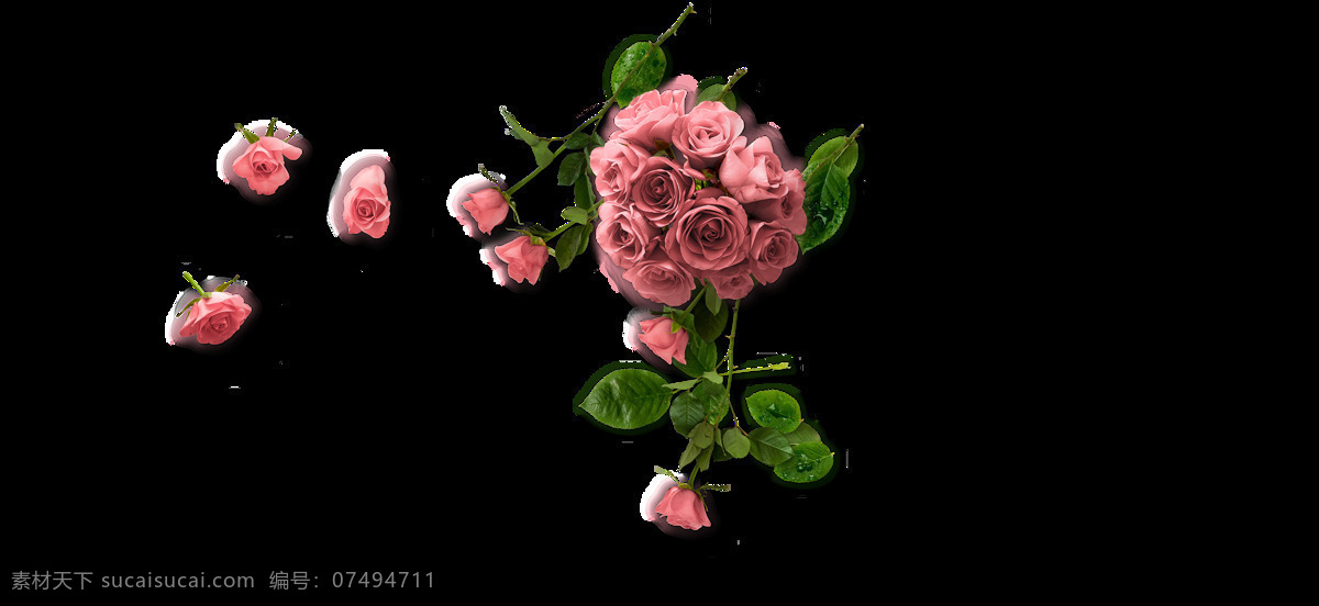 粉色 玫瑰 装饰 叶子 情人节 花朵 鲜花