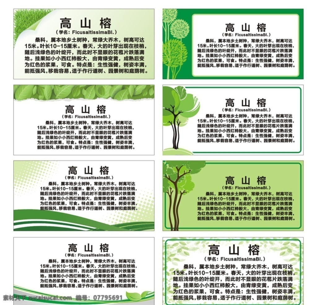 树名牌模板 矢量树 绿树 树木挂牌 植物名牌 树木介绍牌 植物介绍牌 a广告画