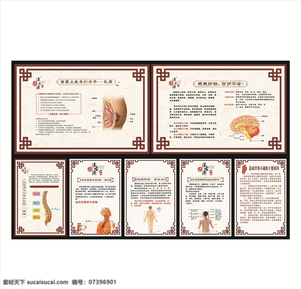 汉 古 源 墙面 挂图 汉古源挂图 墙贴 乳房 护脑 脊柱 淋巴 膀光经 颈椎 经络图 kt板 写真